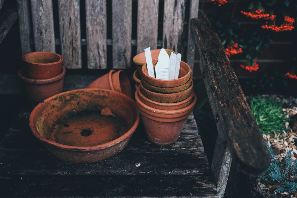 Are Terracotta Pots Good For Plants